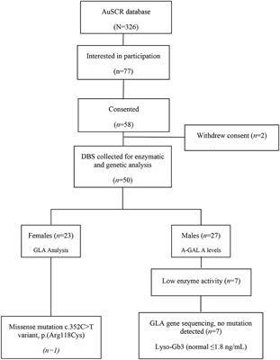 Screening for Fabry Disease in Young Strokes in the Australian Stroke Clinical Registry (AuSCR)